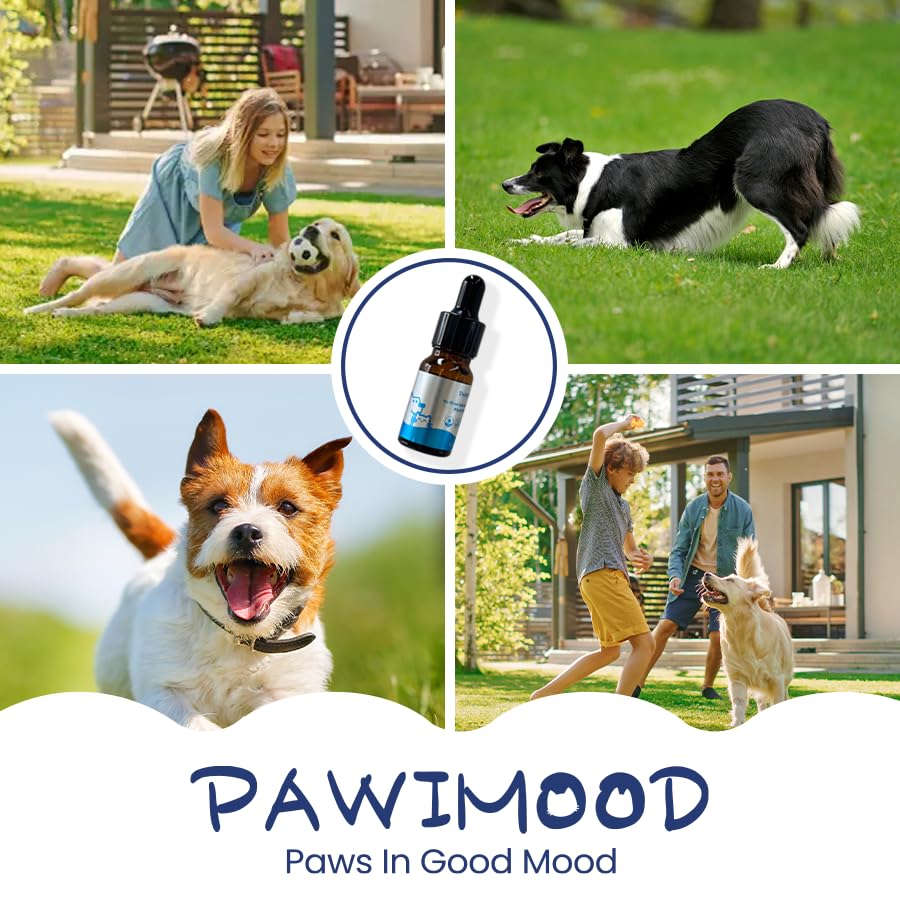 Pawimood No-Rinse Pet Shampoo & Conditioner Essence for Dogs & Cats, Dilute Before Use, for Small/Medium Pets, Soothes Skin, Hydrates Coat, Pomegranate Scent, Suitable for Pet Steam Brushes