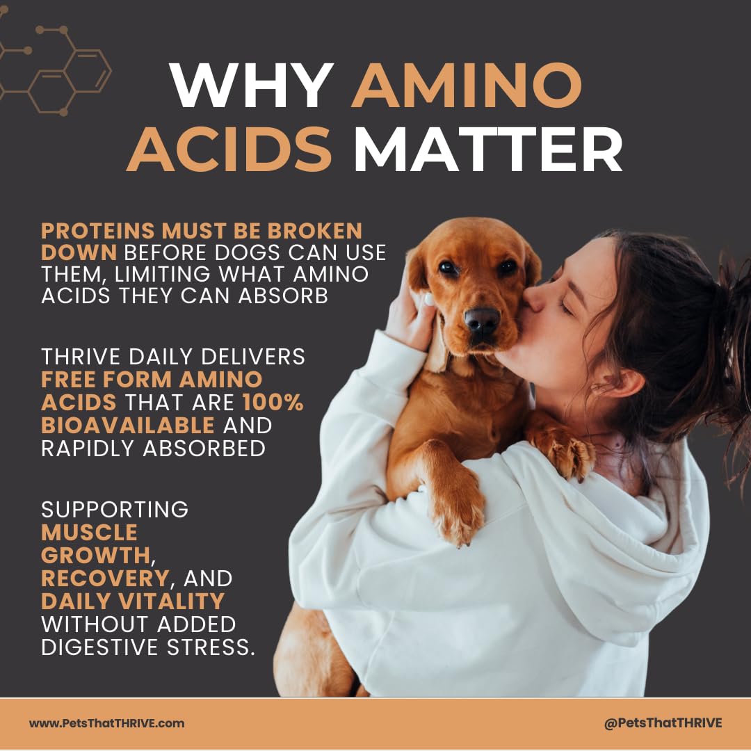 Thrive Daily - Amino Acids Supplement for Dogs - Supports Muscle Health, Energy, Healthy Joints, Skin & Coat - Suitable for Dogs All Ages & Sizes - 30 Soft Chews, 4.8oz