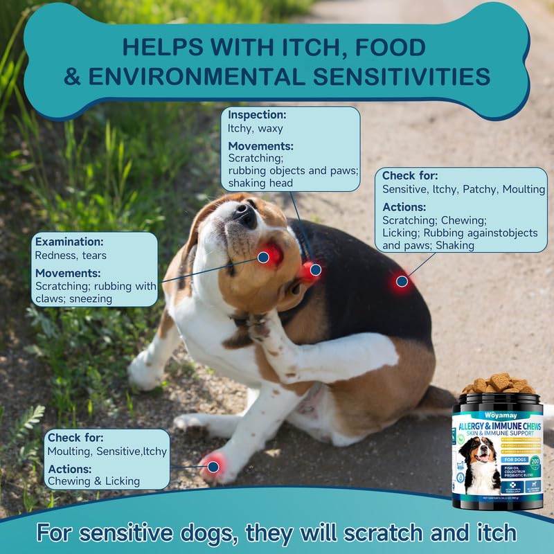 Woyamay 200 Dog Allergy Relief Chews for Dogs Itchy Skin Relief, Anti Itch for Dogs Ears & Paw Relief, Itchy Dog Skin Relief for Seasonal Allergy, Omega 3 Fish Oil, Turmeric & Colostrum Immune Support