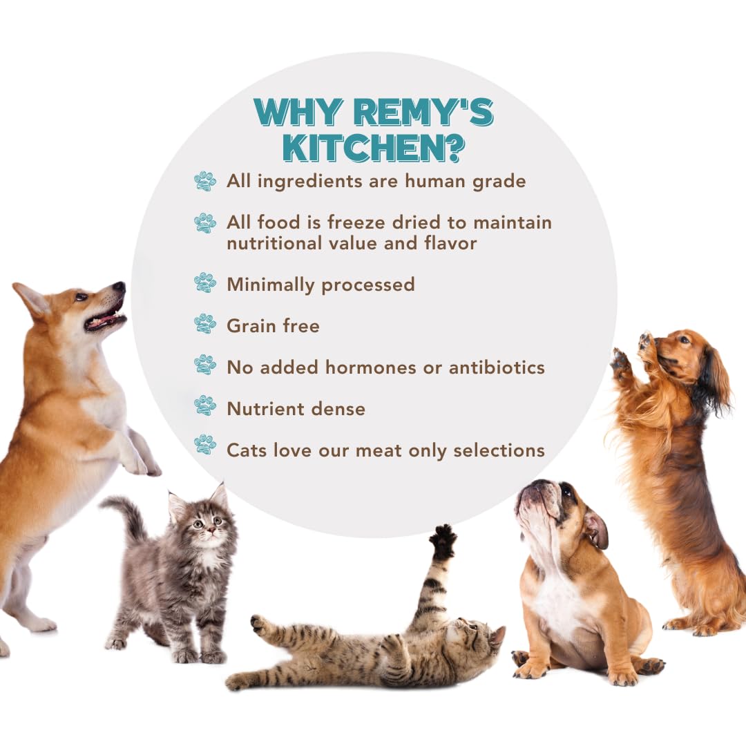 Remy’s Kitchen Apple Cinnamon Freeze Dried Dog Treats USA Sourced and Small Batch Made - Human-Grade, All Natural Superfood Dog Snacks Without Artificial Preservatives, Grain Free - 3.5 oz