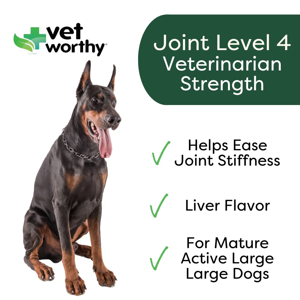 Hemp + Glucosamine Dog Treats for Picky Eaters Bundle + Hip & Joint Supplement w/Hemp Oil Chondroitin MSM Turmeric + Omega-3 - Natural Pain Relief + Chicken Flavor - 120 +180 Soft Chews - Made in USA