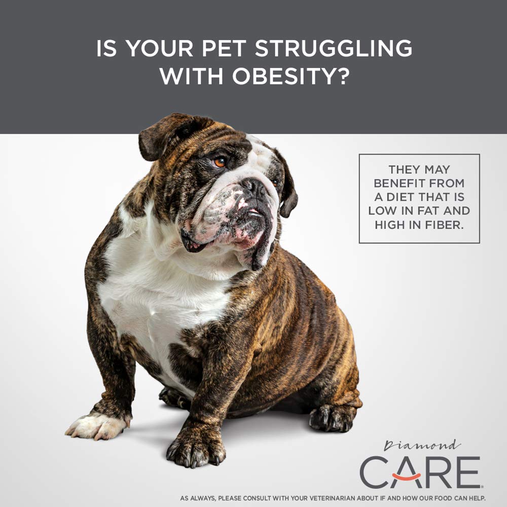 Diamond CARE Specialized Grain-Free Formulation Adult Dry Dog Food to Support Healthy Weight Management Made with prime Lamb Protein, Probiotics and High Fiber to Aid in Weight Control 25lb