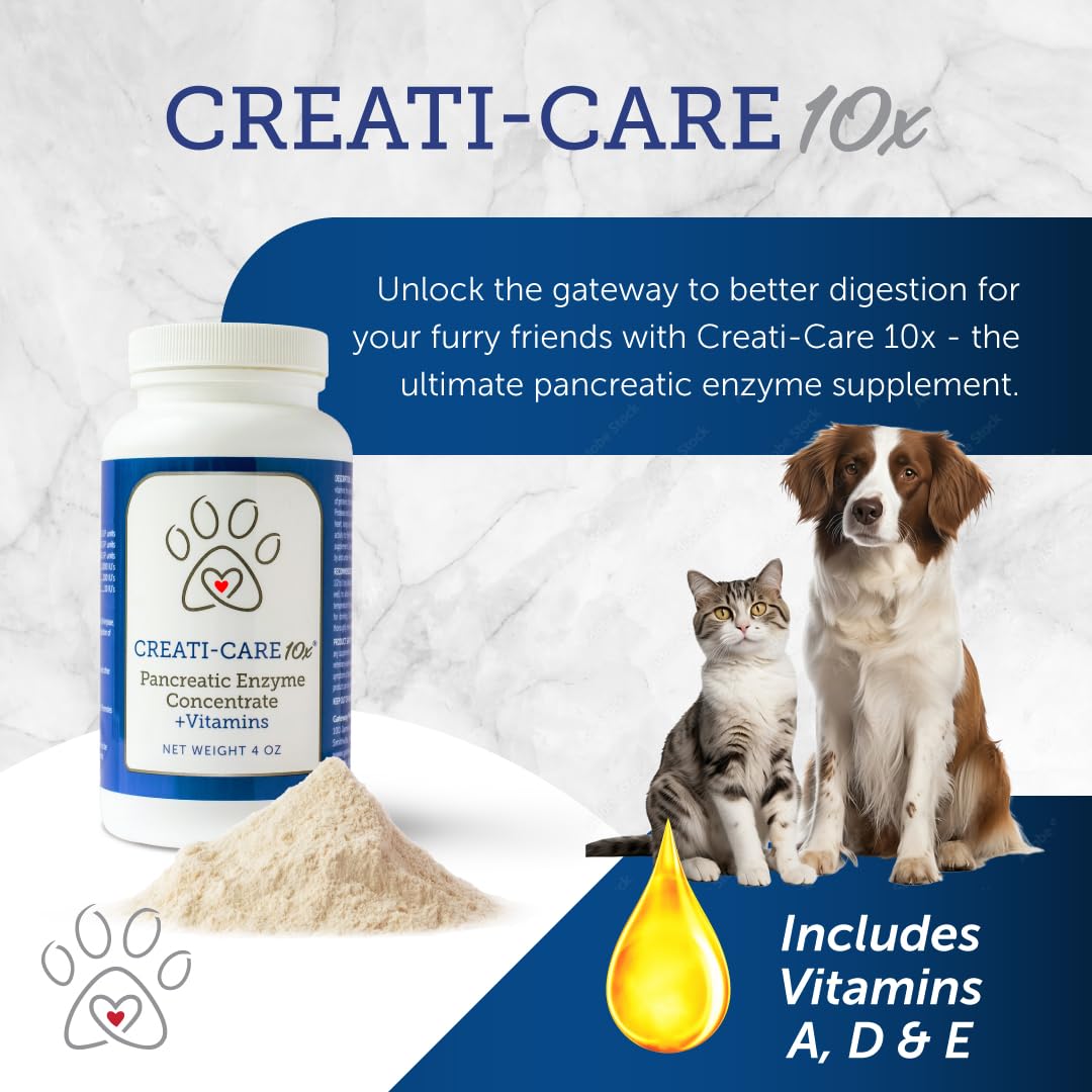 Pancreatic Enzyme for Dogs - Creati-Care 10x Dog Digestive Enzymes Powder with Vitamins Restore Normal Weight, Supports Pancreatin Issues Relieves Digestive Stress - 4 oz
