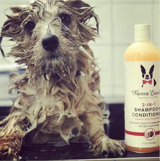 Warren London 2in1 Pet Shampoo and Conditioner for Dogs, Puppys, & Cats | Best Dog Shampoo and Conditioner for Dry Itchy Skin | Dandruff Shampoo for Dogs | Dog Shampoo Gallon Size