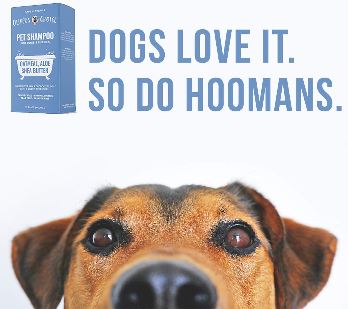 OLIVER'S CHOICE Dog Shampoo with Oatmeal, Aloe & Shea Butter – Deodorizing Puppy Shampoo for Smelly Dogs, Itchy Skin Relief, Paraben-Free, Biodegradable, Cruelty Free – 12 fl. oz