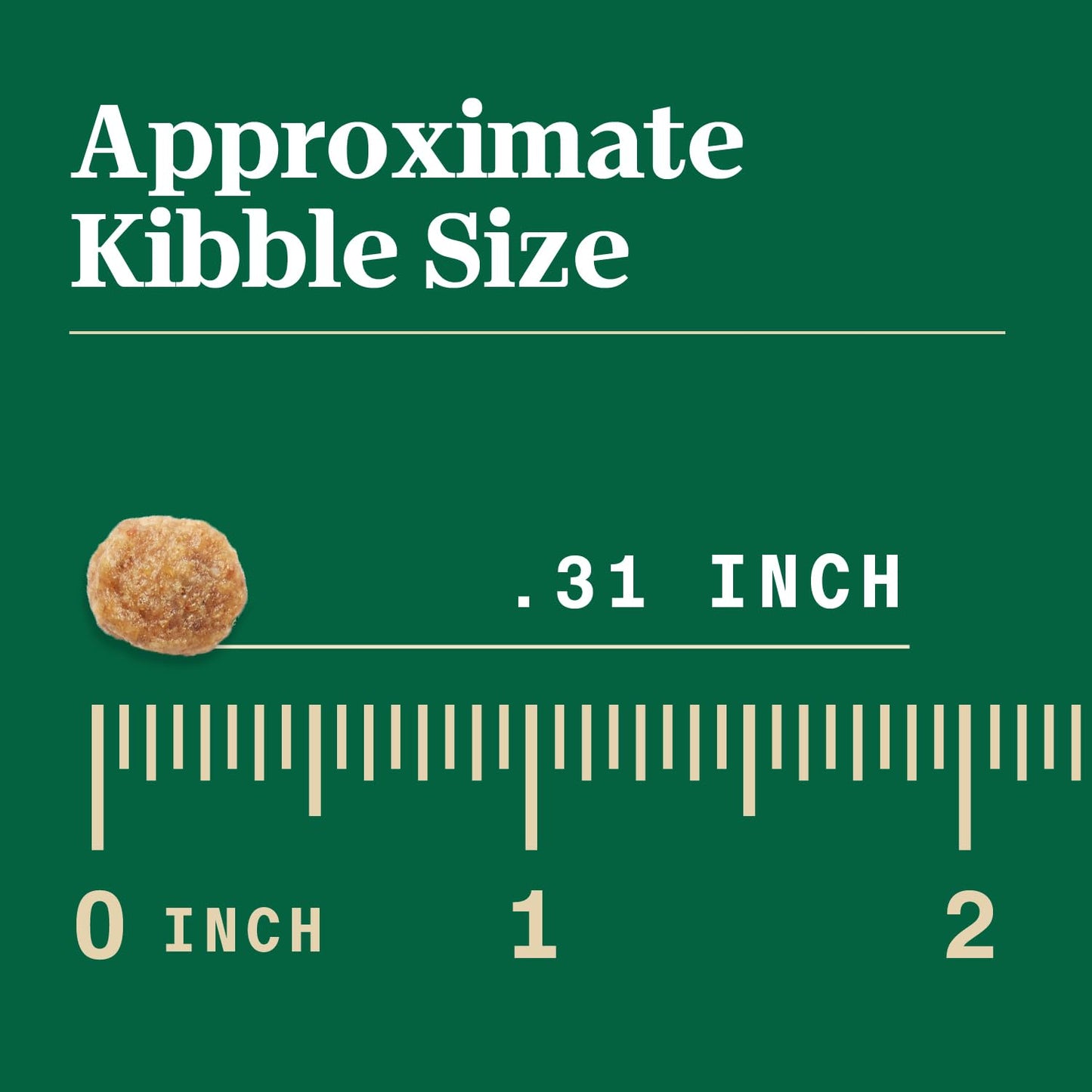 Nutro Max Adult Mini Chunk Dry Dog Food with Farm-Raised Chicken, 4 lb. Bag