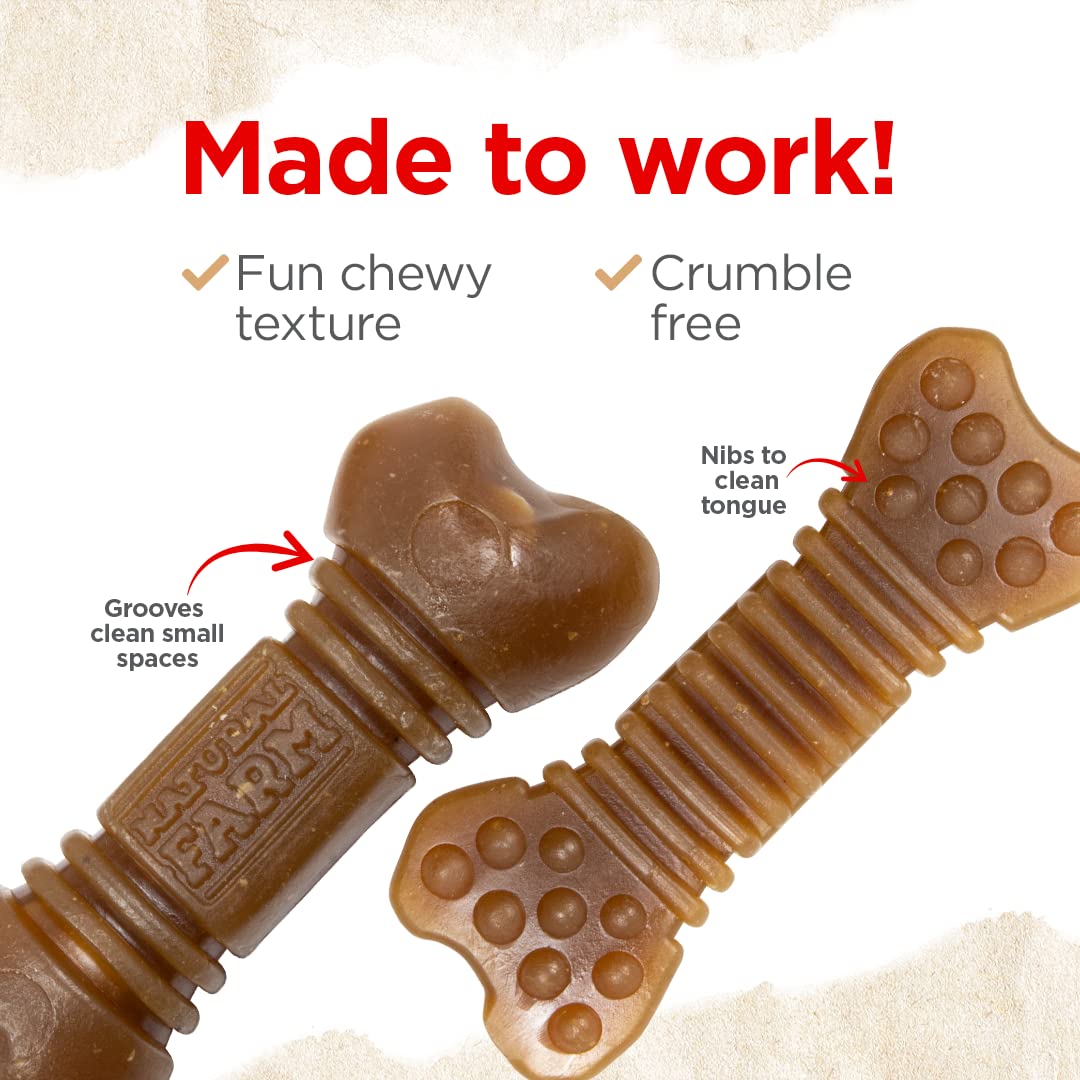 Natural Farm All-Natural Dog Dental Chew, Dog Teeth Cleaning Treats - Fresh Breath, Fight Plaque & Tartar - Canine Mess-Free Oral Care, Teeth Cleaning Chews for Dogs 20-50 Lbs (48 Counts)