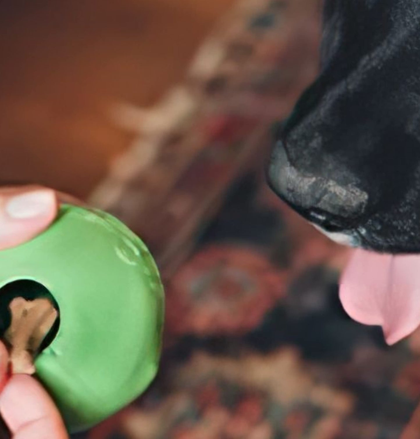 Beco Rubber Ball, Treat Dispensing Dog Toy, Green, Small