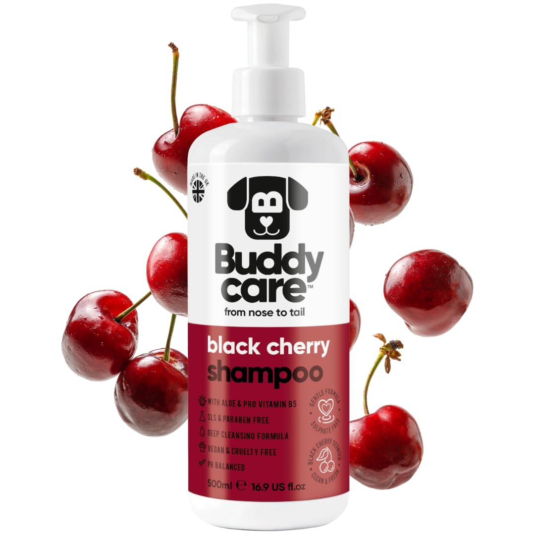 Black Cherry Dog Shampoo by Buddycare | Dry Skin & Itchy Skin Relief for Smelly Dogs | Deep Cleansing for Dogs Puppy Sensitive Skin | Dog Shampoo & Conditioner | with Aloe & Vitamin B5 (16.90oz)