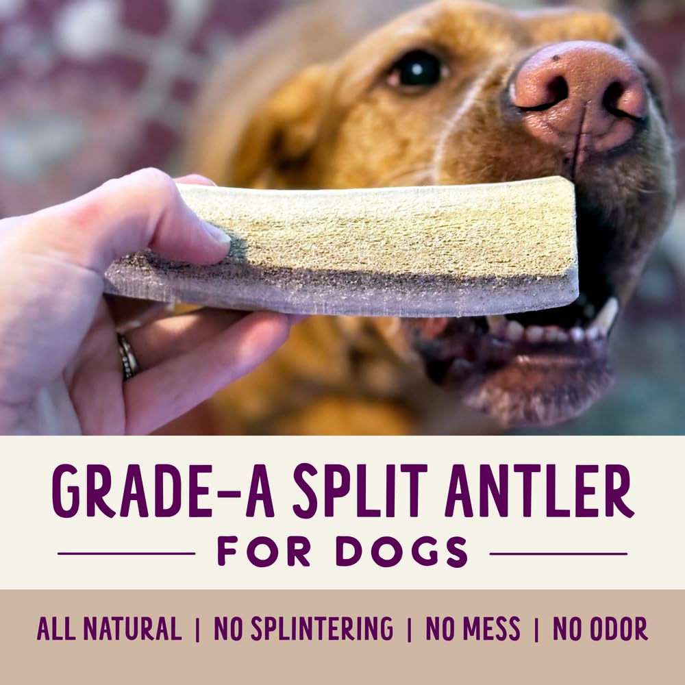 Health Extension Small Sliced Elk Antlers for Dogs – Long-Lasting Natural Chews for Dental Health, Puppy Training & Aggressive Chewers