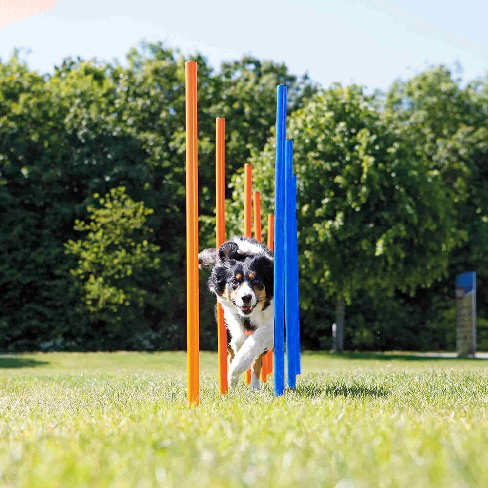 Kvittra Dog Agility Training Equipment Set, Obstacle Course Starter Kit for Pet Outdoor Games With Tunnel, Weave Poles, Adjustable Hurdle, Jump Ring