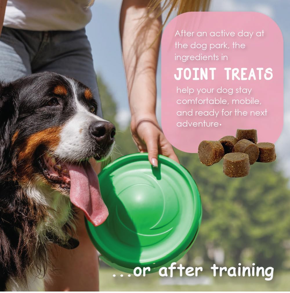 Hemp + Glucosamine + Calming Treats for Dogs Bundle - Joint Pain Relief + Anxiety Relief - Hemp Oil + Chondroitin, w/MSM + Omega 3 - Hip & Joint Supplement + Stress Relief - 240 Chews - Made in USA