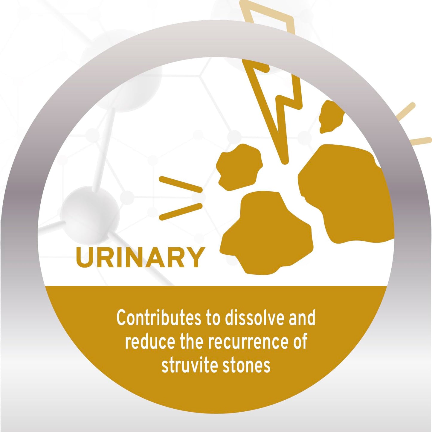 Forza10 Active Urinary Care Dog Food - 3.3 Pounds, Limited Ingredient Dry Dog Food for Urinary Support, UTI and Struvite Stone Management with Fish Protein & Cranberry, Fish Flavor