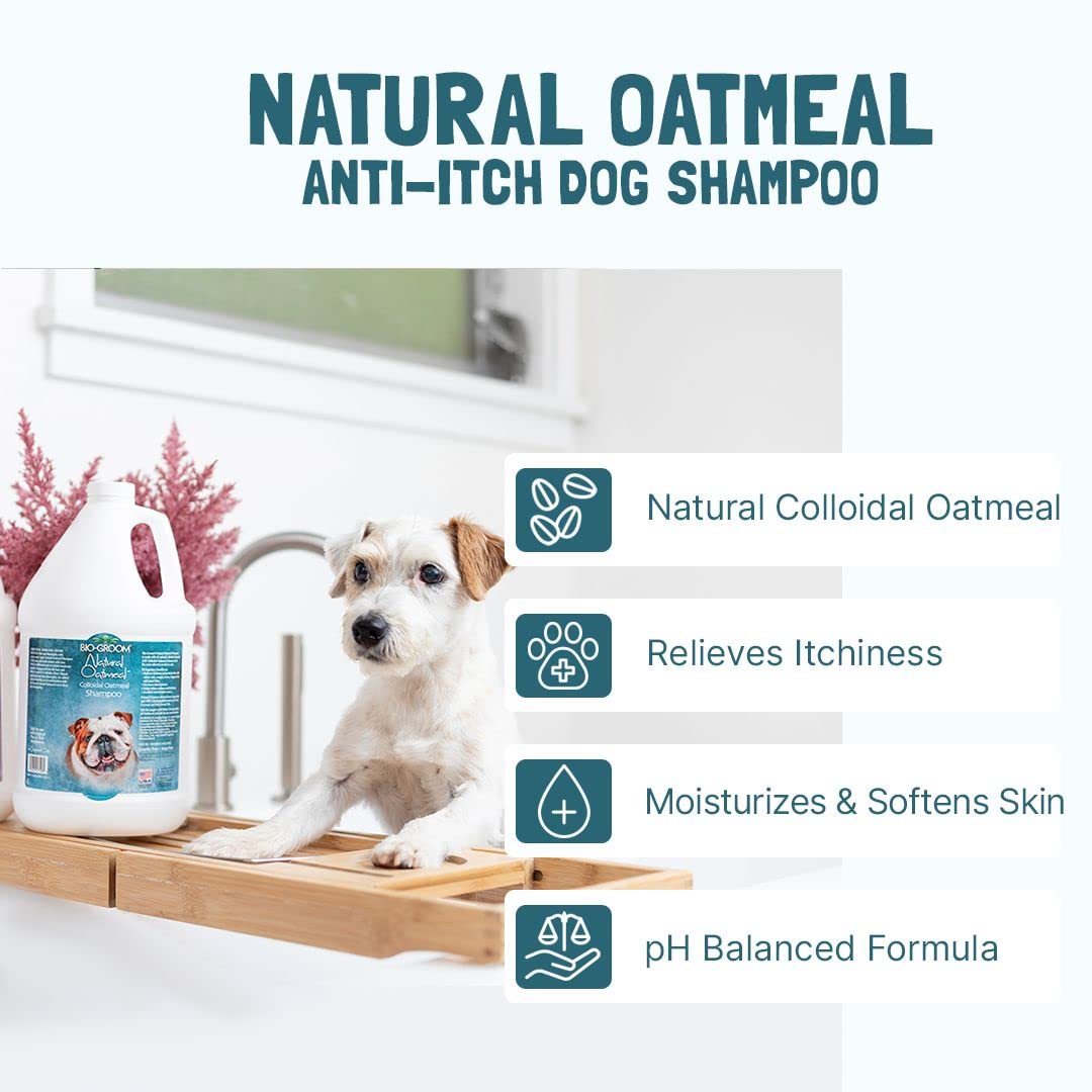 Bio-Groom Oatmeal Dog Shampoo – for Allergies and Itching, Cruelty-Free, Dog Bathing Supplies, Puppy Shampoo for Sensitive Skin, Made in USA, Anti-Itch Dog Products – 1 Gallon