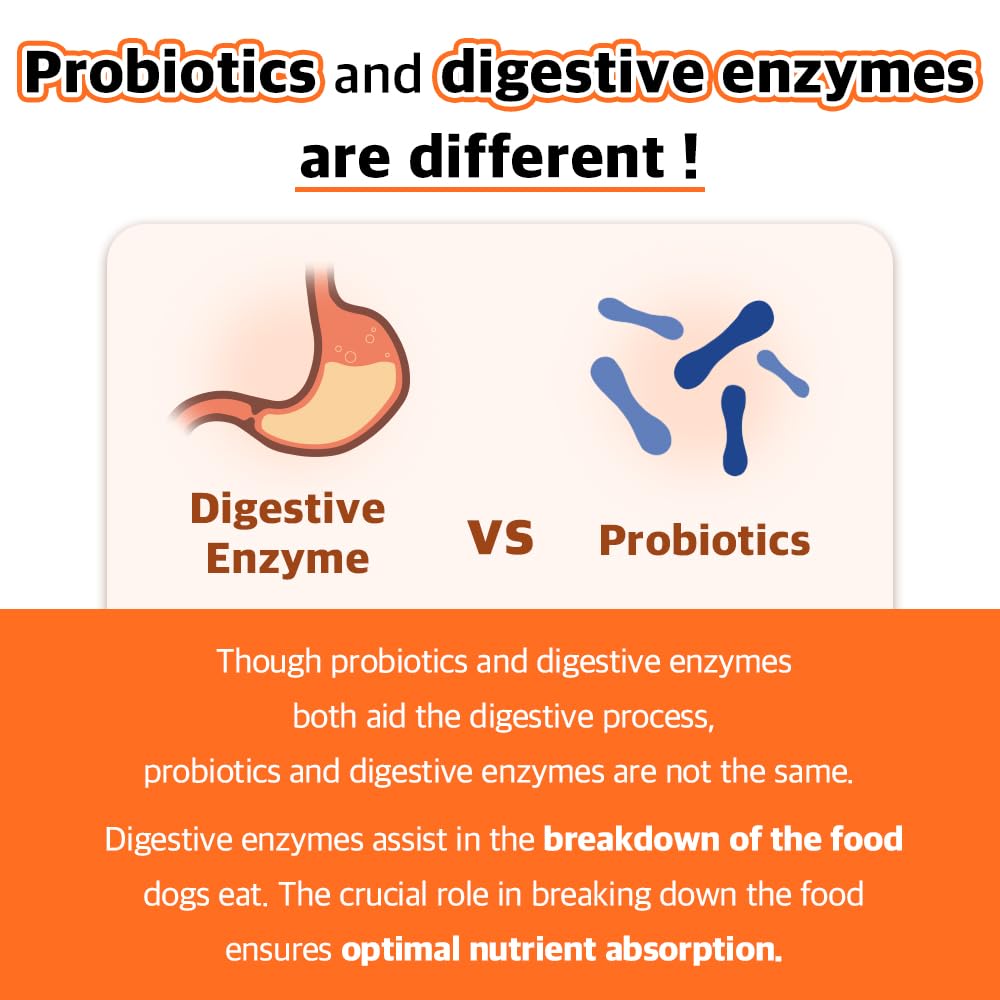 Vivus Pets Natural Vegan Dog Treats - for Immune Boosting & Skin Coat Health - All Natural Human Grade Allergen Free Ingredient - Suitable for All Breeds, 5.3 Oz