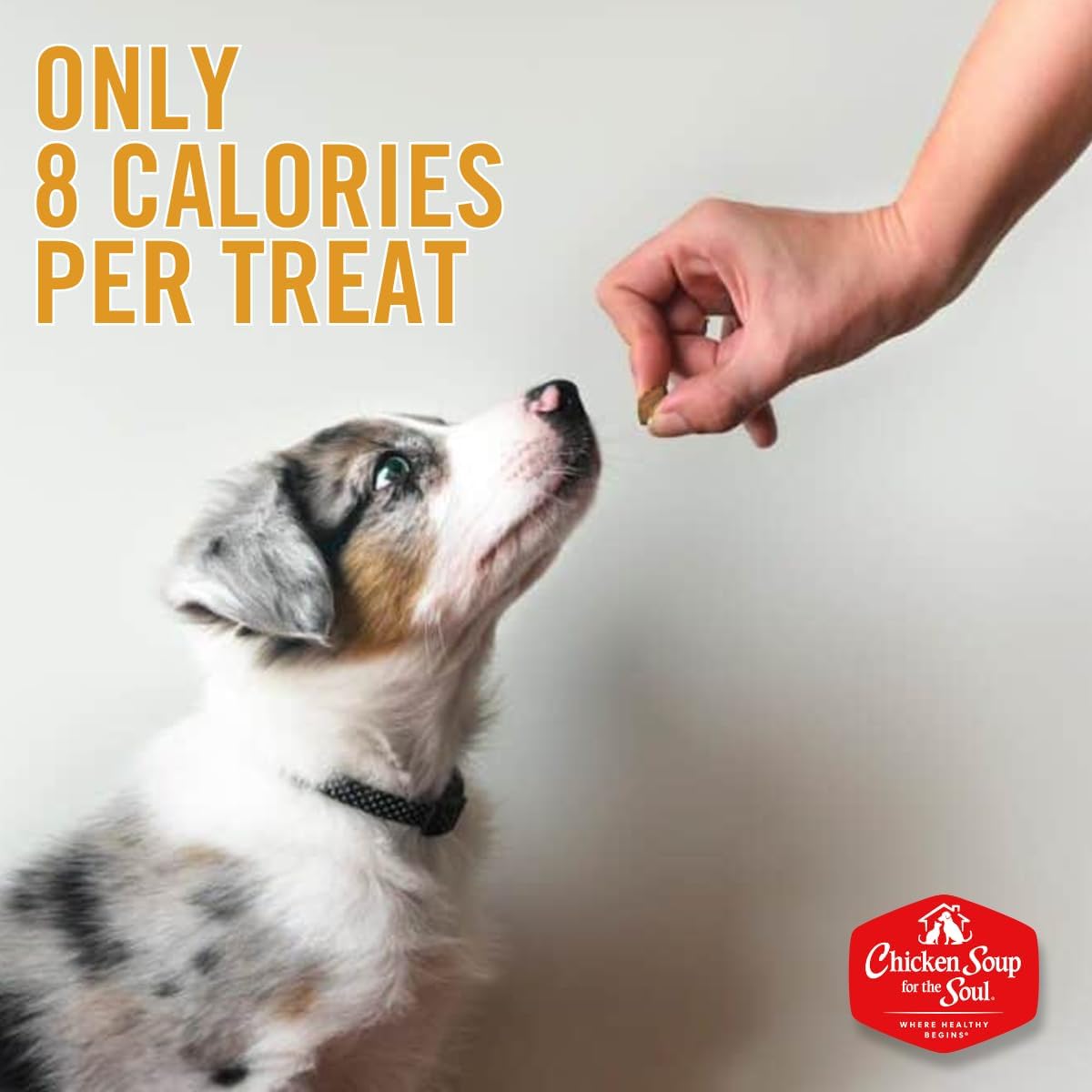 DOGSWELL 100% Grilled Meat Dog Treats, Made in The USA with Glucosamine, Chondroitin & New Zealand Green Mussel for Healthy Hips, 20 oz. Duck