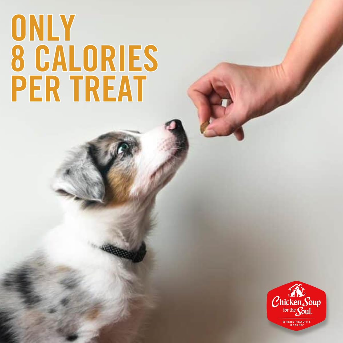 DOGSWELL 100% Grilled Meat Dog Treats, Made in The USA with Glucosamine, Chondroitin & New Zealand Green Mussel for Healthy Hips, 20 oz. Duck