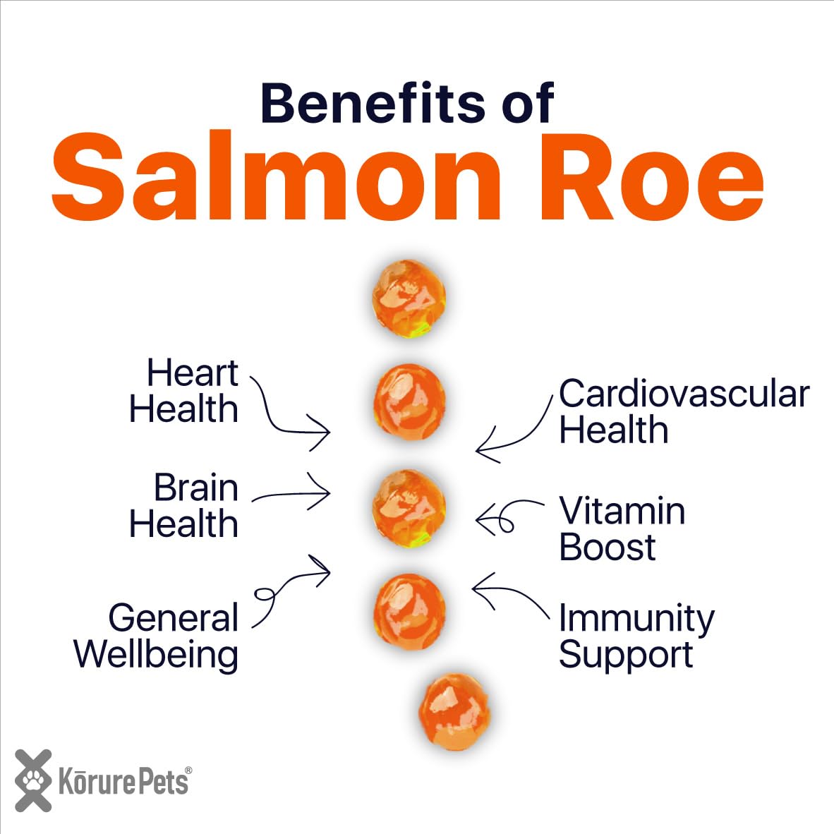 Zignature Turkey Limited Ingredient Formula Dry Dog Food 25lb