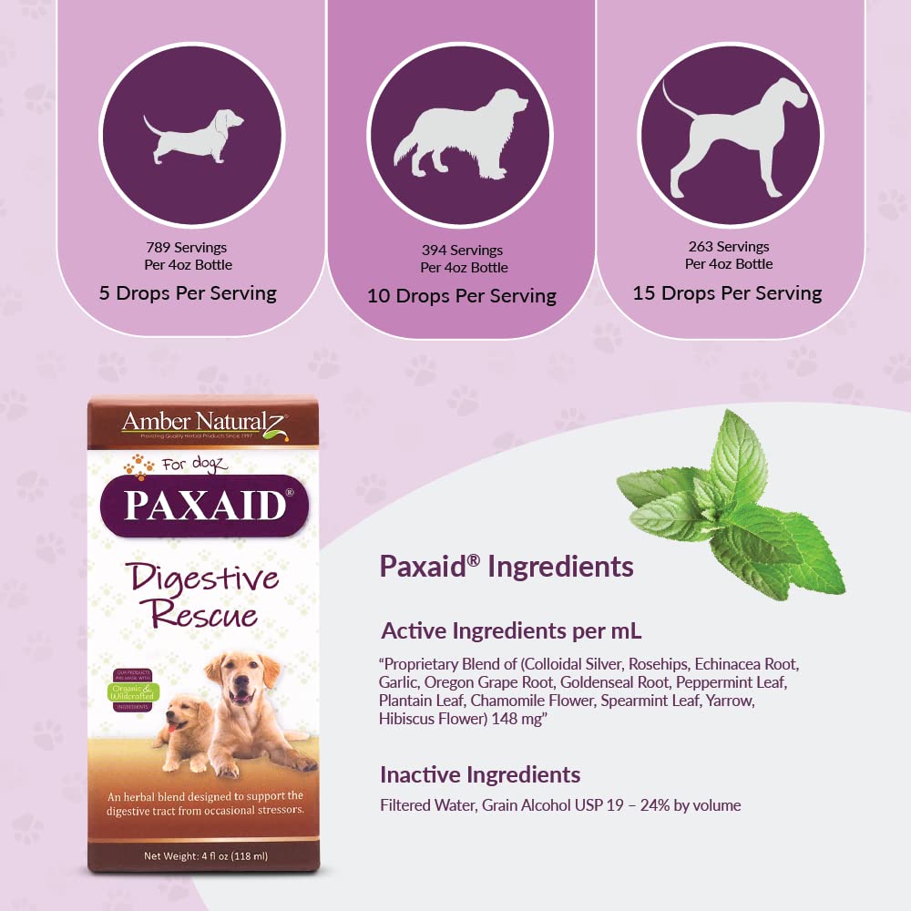 Amber NaturalZ Paxaid Digestive Rescue Herbal Supplement for Dogs and Puppies | Canine Herbal Supplement for Occasional Digestive Upset Support | 4 Fluid Ounce Glass Bottle | Manufactured in The USA
