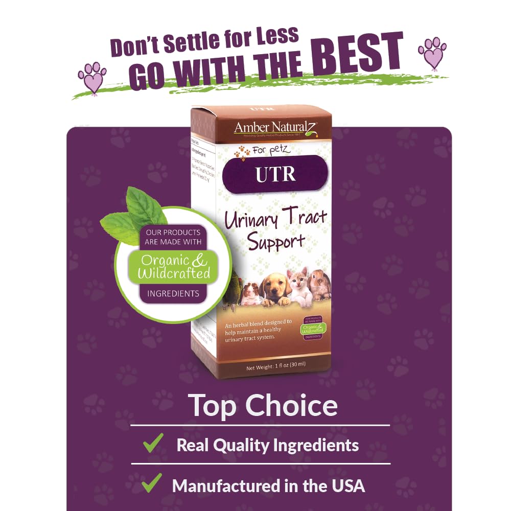 Chicken Soup for the Soul All Natural Premium Large Breed Adult Dry Dog Food, Real Meat First Ingredient, No By-Products, Supports Heart, Gut & Immune Health, Chicken, Turkey & Brown Rice, 28lb