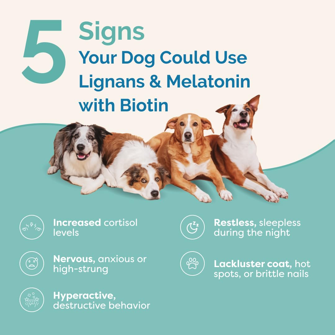 PranaPets Lignans & Melatonin with Biotin Blend Naturally Aids in Relieving Symptoms of Cushing’s in Dogs Over 25 lb | Promote Healthy Balance & Overall Well-Being