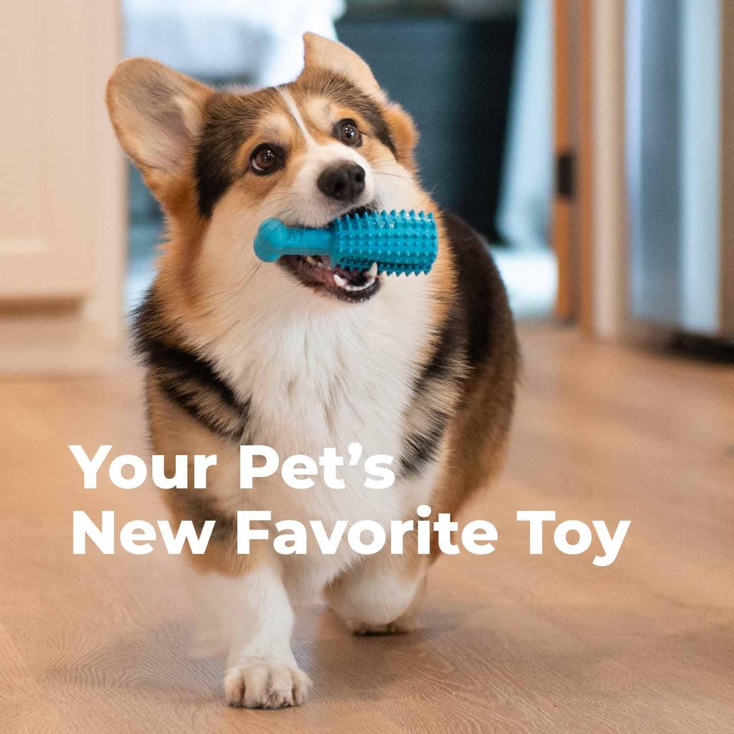 Oxyfresh Dog Dental Chew Toy - Best Durable Rubber Dog Toy for Tough Chewers – Helps Remove Plaque, Cleans Teeth & Freshens Breath Without Brushing (Large)