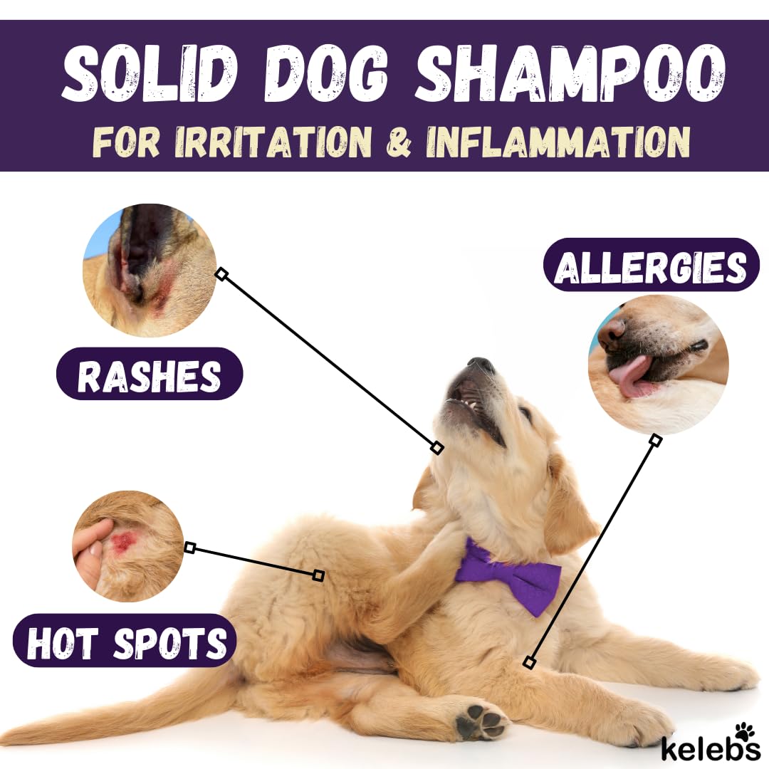 Dogtopia Bright and Shine Shampoo – 12oz Piña Colada Scent | Restoring Shampoo Rich with Soothing Colloidal Oatmeal | Tearless and Alcohol-Free for Everyday Use