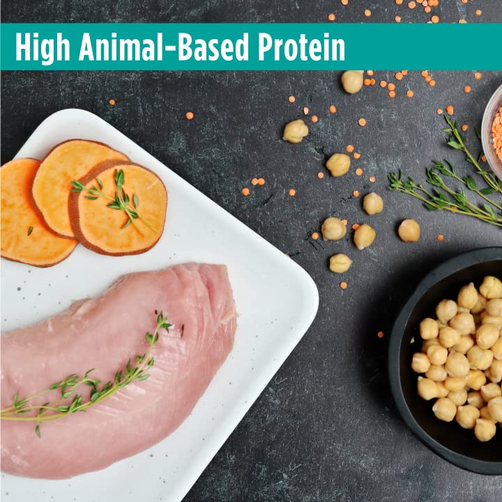 Nulo Freestyle Dry Puppy Food - Grain Free Kibble Recipe with DHA for Brain Development, Available for Large Breed Puppies