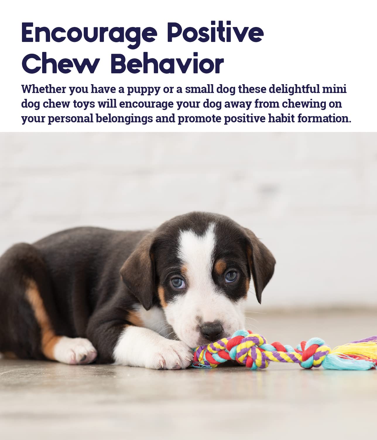 Petstages Orka Mini Dental Dog Chew Toys - 3 Pack