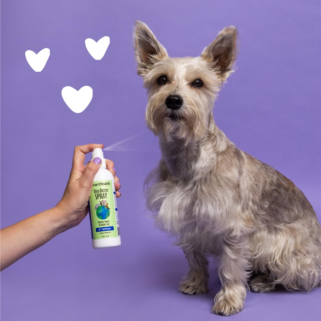 earthbath, Hypoallergenic Shea Butter Spray - Dog Dandruff Treatment, Dog & Cat Skin Moisturizer, Plant-Based, Cruelty-Free, Vegan, Gluten-Free, Non-GMO, Moisture Repair & Dander Care - 8 Oz