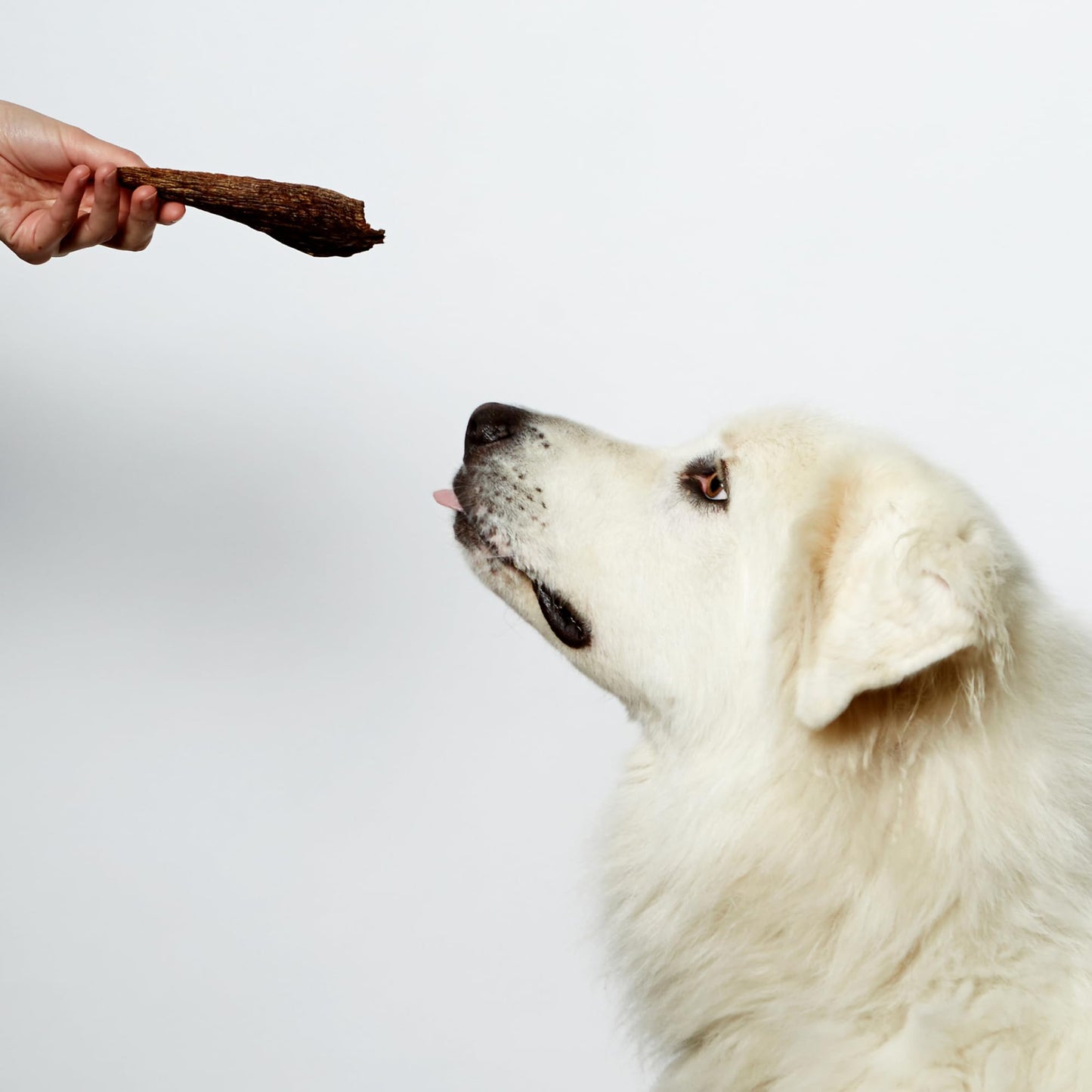 Nom Nom Beef Jerky Treats - All-Natural Dog Snacks for Training, Rewards, and Mealtime Toppers - Non-GMO, No Fillers, Preservatives or Added Ingredients - Prepared in The USA for Dogs