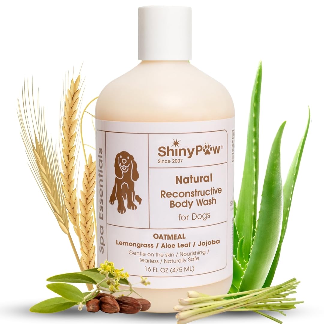 Oatmeal Shampoo for Dogs | ShinyPaw Dog Shampoo for Allergies and Itching | Controls Dog Shedding Naturally | Itchy Skin Relief for Dogs | Tearless Dog Shampoo & Conditioner Made in The USA | 16 oz