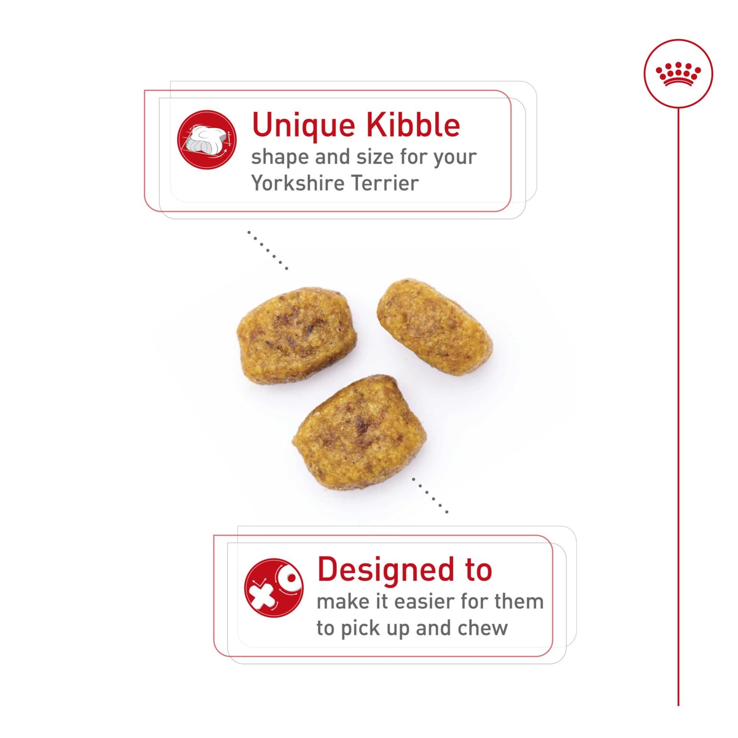 Royal Canin Yorkshire Terrier Adult Dry Dog Food, 2.5 lb bag