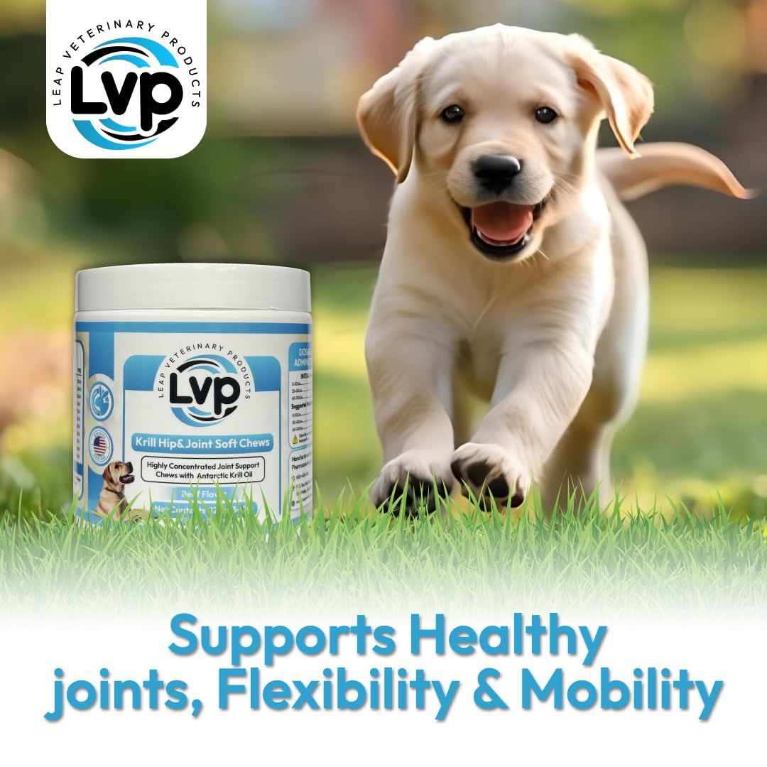 Dogs Suplements Hip & Joint - Krill Oil and Glucosamine Soft Chews, Joint Supplement for Dogs with Krill Oil,Glucosamine, Chondroitin, MSM, Turmeric, Anti Inflammatory, Mobility (Beef 90ct)