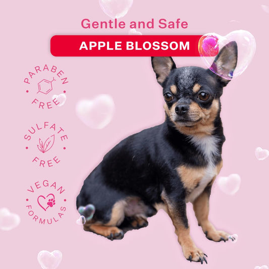 Paris Hilton Pet Iconic Apple Blossom Scent No-Rinse Dog Shampoo, Waterless Dog Wash, Hypoallergenic, 280ml – Quick Clean for Dogs, Easy Grooming, No Rinse Needed