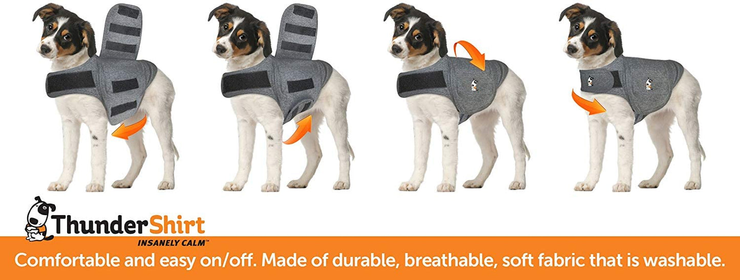 Generic Thunder Dog Anxiety Jacket Keep Calming Vest Reflective Coat (Small, Grey, Black)