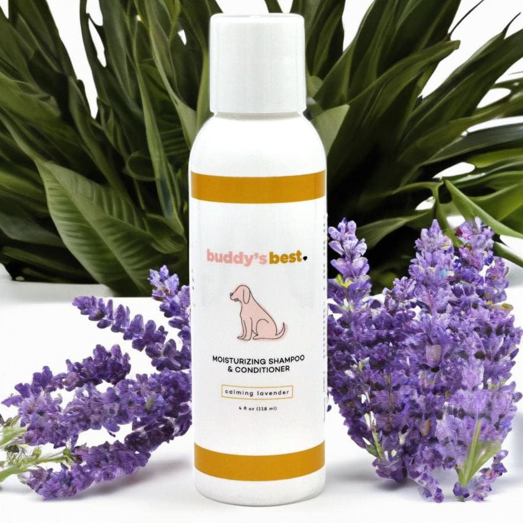 Dog Shampoo for Dry and Itchy Skin Made in The USA by Rockwell Pets Pro (16 fl oz) ideal paw cleaner for dogs with Aloe Vera Argan Oil Natural Willow Meadowsweet Chaparral and Olive Extracts