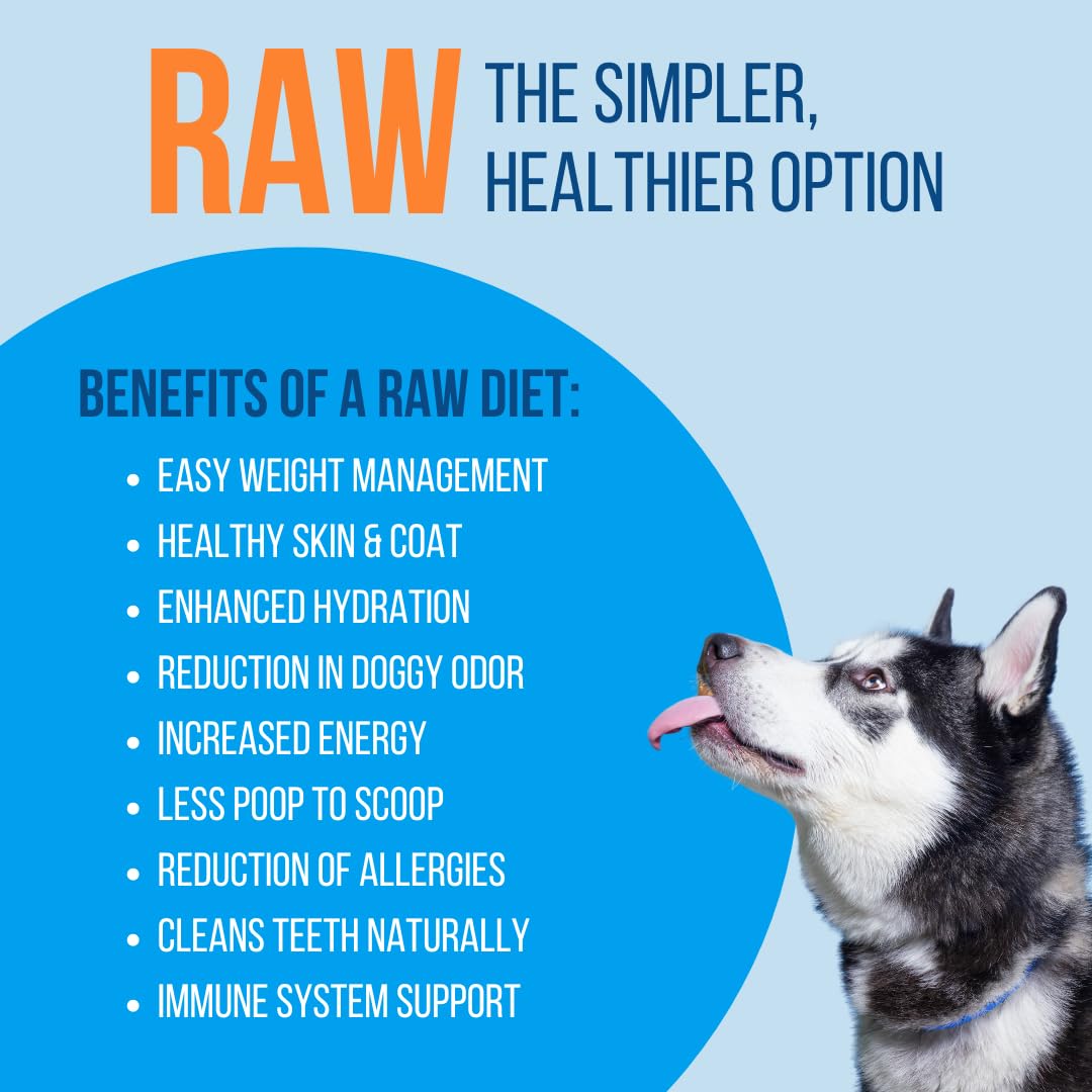 Nutrish Small Breed Real Chicken & Veggies Recipe Whole Health Blend Dry Dog Food, 14 lb. Bag, Packaging May Vary (Rachael Ray)