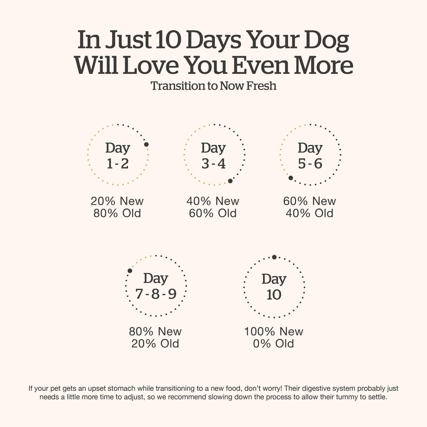 Now Fresh Grain-Free Small Breed Dry Dog Food with Turkey, Salmon & Duck, Healthy Kibble for Adults Made with Real Meat & Fish, Chicken-Free Recipe, Pumpkin & Probiotics for Good Digestion, 12 lb Bag