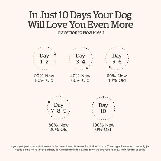 Now Fresh Grain-Free Small Breed Dry Dog Food with Turkey, Salmon & Duck, Healthy Kibble for Adults Made with Real Meat & Fish, Chicken-Free Recipe, Pumpkin & Probiotics for Good Digestion, 12 lb Bag