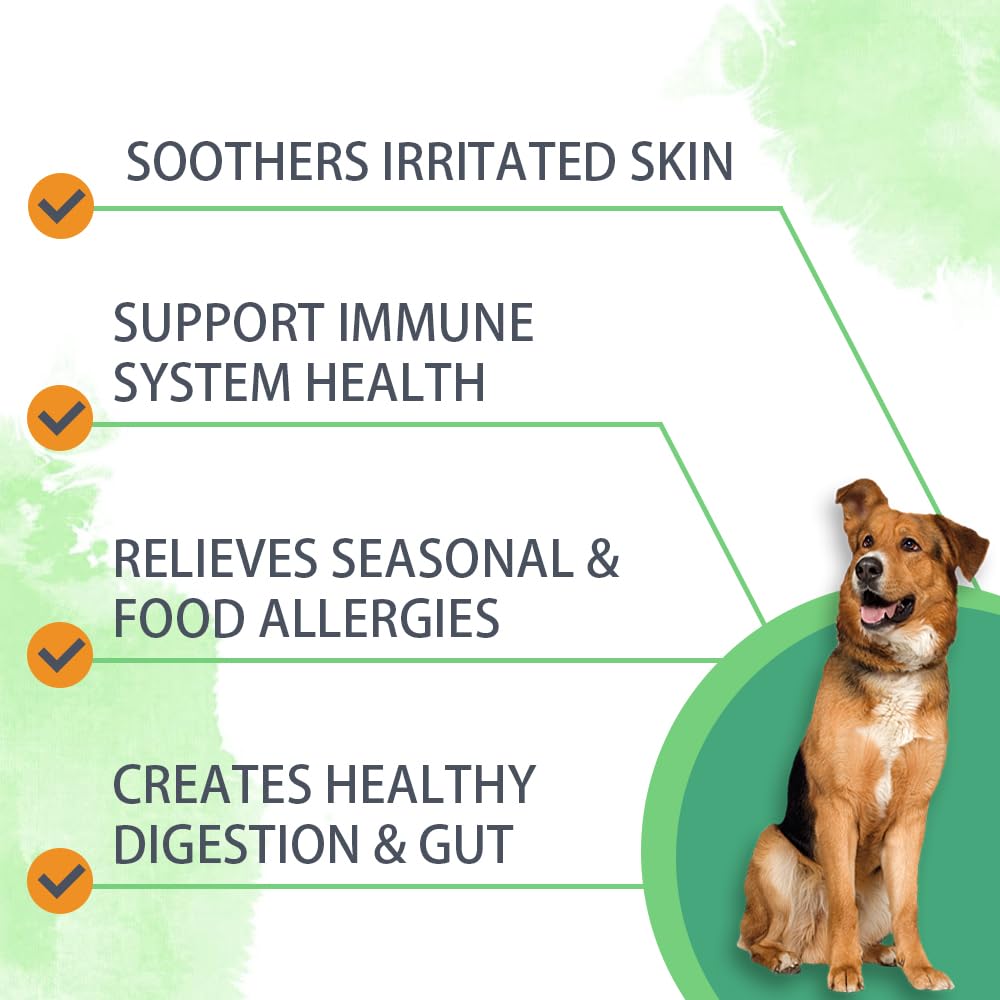 Nutridog Allergy Powder for Dogs, 90g Salmon Flavor - Itch Relief & Immune Support with Probiotics, Quercetin & Salmon Oil | Vet-Approved Formula for Seasonal Allergies & Sensitive Skin (Salmon)