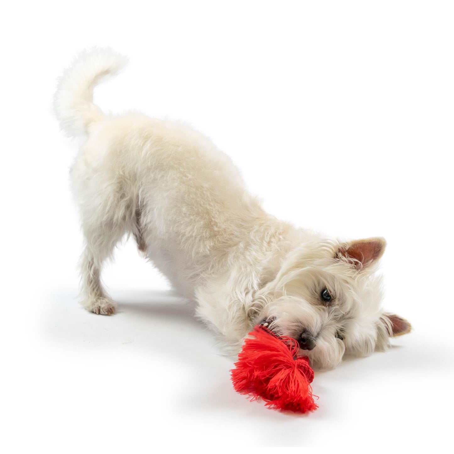Playology Dri Tech Rope Medium Chew Toy, Peanut Butter & Beef, 2-Pack