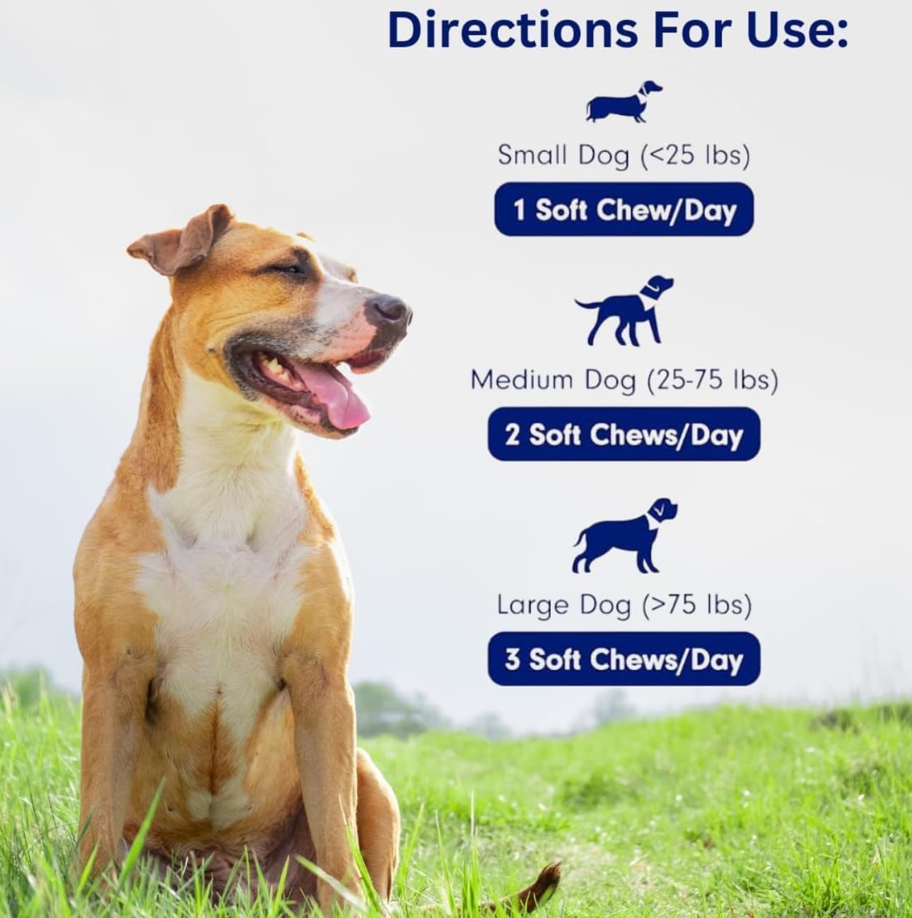 Dogs Immune Support Mushroom Supplement - Supports Longevity, Cognition, Joint, Cellular & Gut Health - All Natural Organic, GrainFree - Aid for Lumps and Bumps, Chicken Flavor - 90 Chews