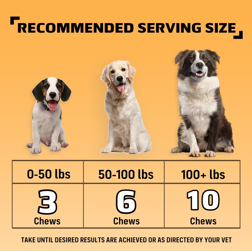 Nutridog Allergy Chews for Dogs - Dog Itching Skin Relief & Seasonal Allergy Support with Chamomile, Salmon Oil, Quercetin - Probiotic Dog Allergy Relief Treats, Chicken Flavor (90 Count, Chicken)