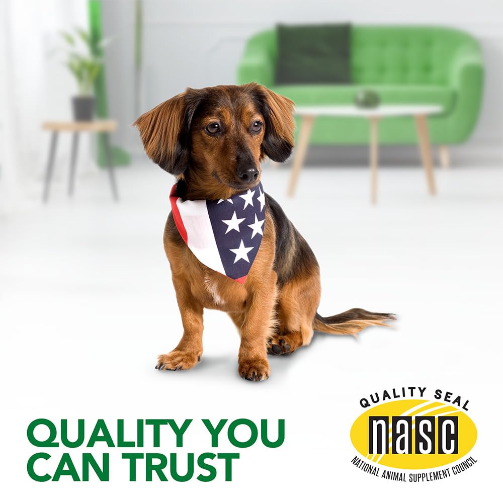 Bernie's Marvelous Mobility - Daily Total Joint Support for Dogs - 90 Soft Chews - Maintain & Rebuild Mobility, Supports Joint Tissue Health