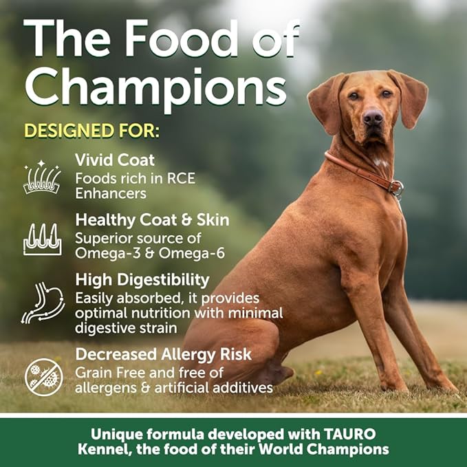 Nature's Protection Superior Care Grain-Free Dry Dog Food - High Protein, Coat Shine Dog Food for All Breeds Red Coated All Life Stages Dogs, Fresh Pet Meal, Lamb, 22 lb