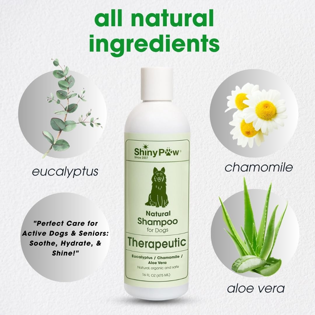 Shiny Paw Dog Shampoo Itchy Skin Relief 16 oz | Hypoallergenic Dog Wash | Eucalyptus, Chamomile & Aloe Vera | Dog Shampoo Sensitive Skin & Smelly Dogs | Made in USA