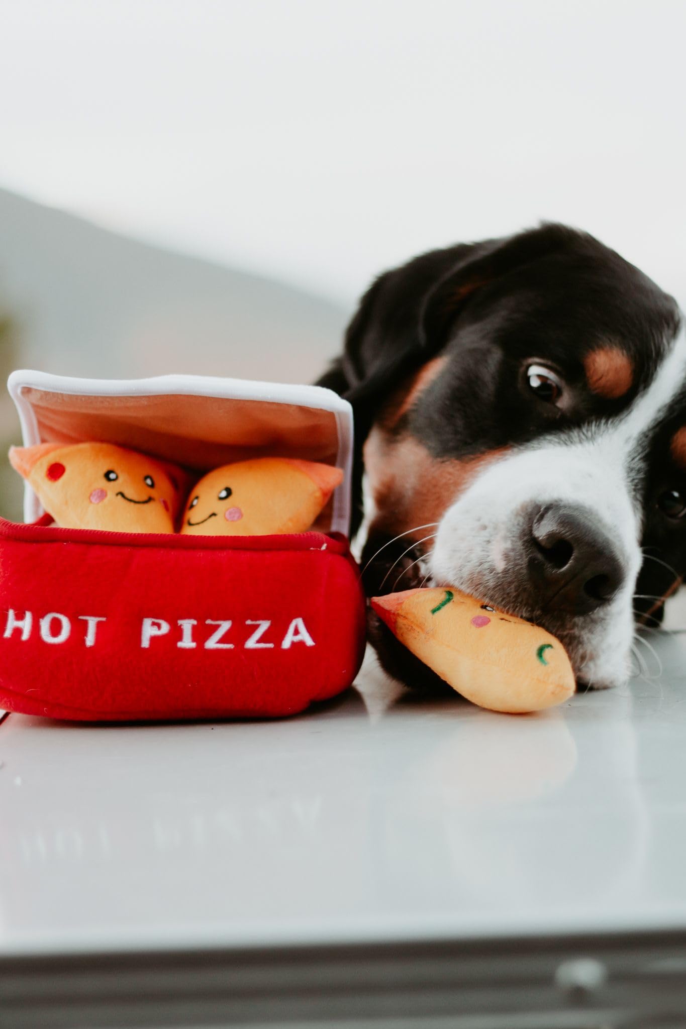 ZippyPaws Burrow- Interactive Dog & Puppy Toys for Boredom, Stimulating Pet Products to Keep Them Busy, Hide & Seek Plush Dog Puzzle, Enrichment Squeaky Toy, for Small & Medium Dogs- Pizza Box