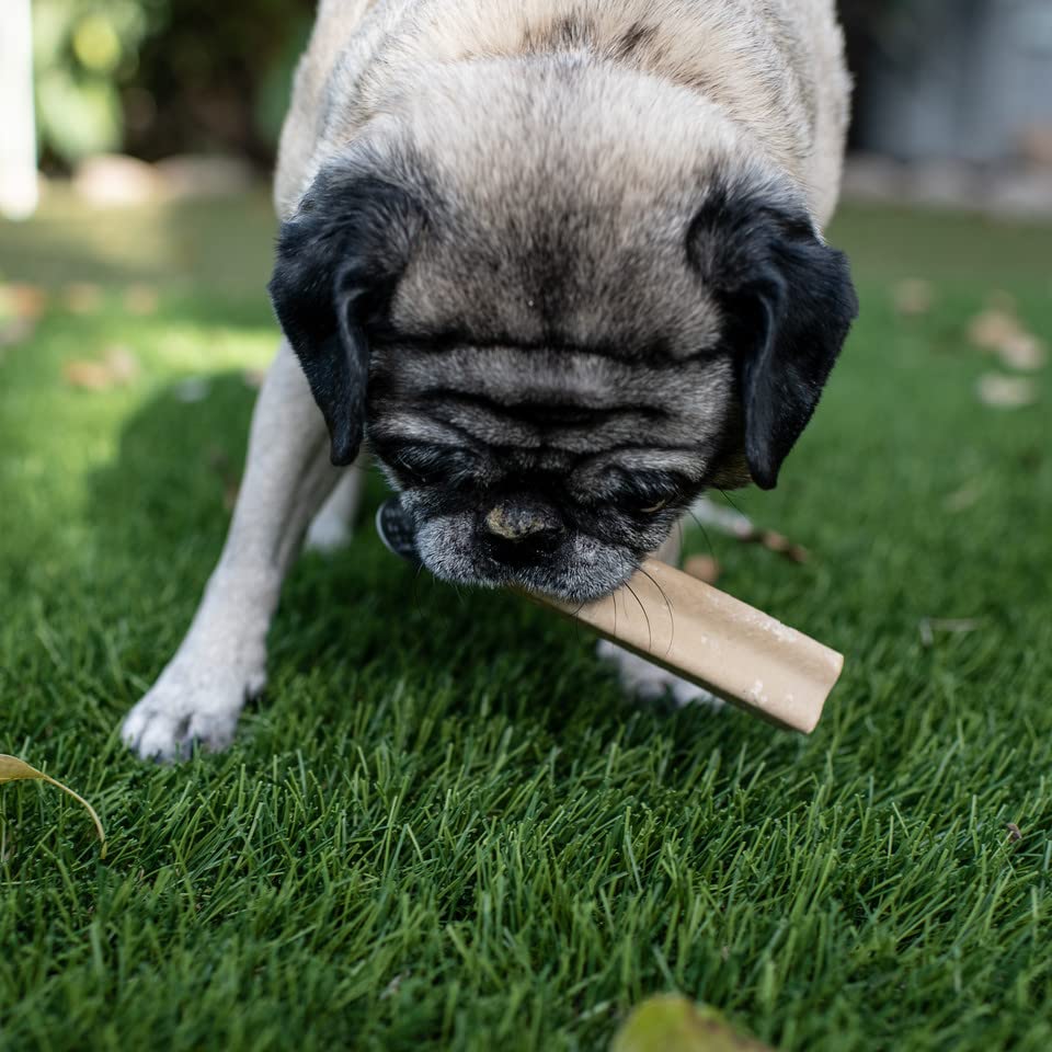 Loving Pets Yummy Bones Chicken Flavor Filled Bone, Dog Treat, Box of 15 Single Wrapped Bones
