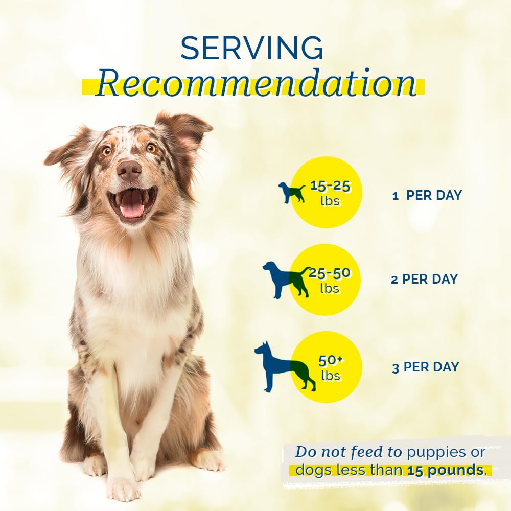 PCI Pet Center, Inc. Duck Breast Cutlets for Dogs - 100% Natural Dog Treats - Premium Quality, Single Ingredient Raw Dehydrated Chews - USA Made - No Additives - Delicious, Healthy Snack - 1lb